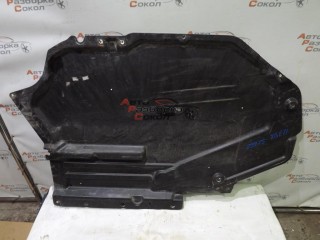 Защита антигравийная BMW X6 E71 2008-2014 29975 51757158405