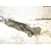 Петля капота правая Nissan Primera P10E 1990-1996 43868 6540050J10