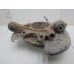 Кулак поворотный задний левый Land Rover Range Rover Sport 2005-2012 197058 RLH500030