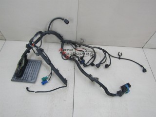 Проводка (коса) Ford Focus II 2005-2008 201696 1479959