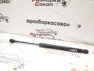 Амортизатор двери багажника Renault Duster 2012-2021 40123 904520004R