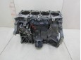  Блок двигателя Ford Focus II 2005-2008 218966 1406769