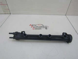 Рейка топливная (рампа) VW Golf IV \Bora 1997-2005 222850 06A133317A