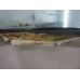 Кунг Ford Ranger 2006-2012 227959