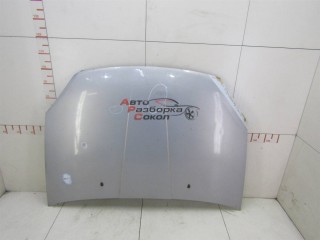 Капот Chery Fora (A21) 2006-2010 234389 A218402010DY