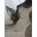 Крыло заднее правое Hyundai Tucson 2004-2010 234706 715042EB01