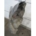 Крыло заднее правое Fiat Albea 2003-2012 235538 71728333