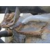 Бак топливный Kia Ceed 2007-2012 238843 311501H270