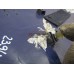 Спойлер (дефлектор) крышки багажника Renault Megane II 2002-2009 239400 7701475259