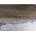 Двигатель (ДВС) Hyundai Elantra 2000-2005 240568 2110126C00