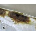 Капот Geely MK 2008-2015 240669 101200329010