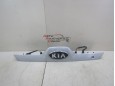  Накладка двери багажника Kia Sportage 2004-2010 240898 925011F000