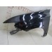 Крыло переднее левое Mitsubishi Outlander (GF) 2012-нв 240944 5220G975