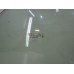 Стекло двери передней левой Toyota Avensis I 1997-2003 241014 6810205020