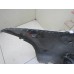 Бампер передний Hyundai Getz 2005-2010 241049 865111C310