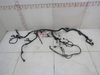 Проводка (коса) Ford Transit 2006-2013 242452 1724387