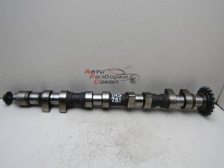 Распредвал выпускной Seat Leon (1M1) 1999-2006 243281 058109022D