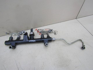 Рейка топливная (рампа) Ford Kuga 2012-2019 243406 1841279