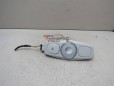 Плафон салонный Ford Kuga 2012-2019 243831 5319757