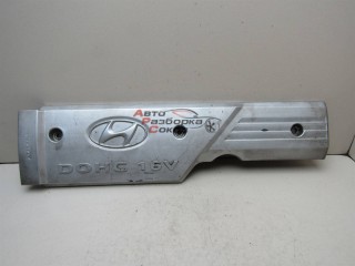 Накладка декоративная Hyundai Elantra 2000-2005 243865 2240526610