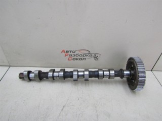 Распредвал выпускной Opel Vectra B 1995-1999 243891 90486981