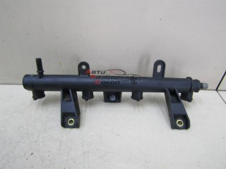 Рейка топливная (рампа) Peugeot 206 1998-2012 244214 198542