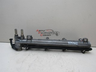 Рейка топливная (рампа) Skoda Fabia 1999-2006 244328 036906031G