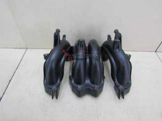 Коллектор впускной Seat Cordoba 1999-2002 244782 06A133206BB