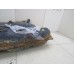 Бак топливный Toyota Camry CV3 2001-2006 245060 7700133150