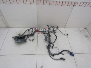 Проводка (коса) Ford Focus II 2008-2011 245617 3M5T12A690DU