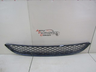Решетка в бампер центральная BMW X5 E70 2007-2013 246482 51117179851