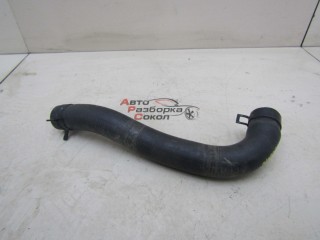 Патрубок Chevrolet Spark 2005-2011 248661 96571829