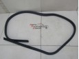 Уплотнитель двери Ford Focus III 2011-2019 249451 1748755