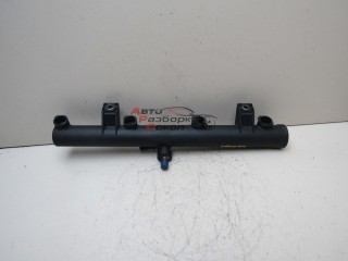 Рейка топливная (рампа) Peugeot 206 1998-2012 250623_731092 157088