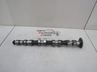 Распредвал выпускной VW Golf IV \Bora 1997-2005 251884 058109022B