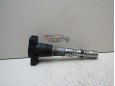 Катушка зажигания Audi A6 (C6,4F) 2005-2011 252305_741429 06B905115L
