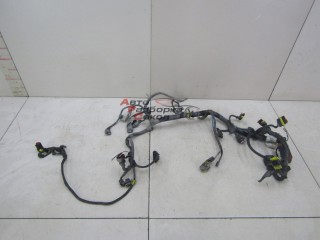 Проводка (коса) Fiat Doblo 2005-2015 252540_746191 55203697