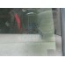Стекло двери задней левой (форточка) Chery Tiggo (T11) 2005-2015 253316 T116203041 Стекло двери задней левой (форточка) Chery Tiggo (T11) 2005-2015 253316 T116203041