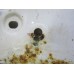 Панель передняя Chery Tiggo (T11) 2005-2015 253441 T115300700FLDY Панель передняя Chery Tiggo (T11) 2005-2015 253441 T115300700FLDY