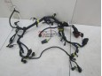  Проводка (коса) Fiat Albea 2003-2012 254155 55203697