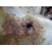 Крыло заднее левое Toyota RAV 4 2000-2005 254607 6162042260