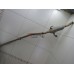 Средняя часть глушителя Toyota RAV 4 2000-2005 254734 1742028050