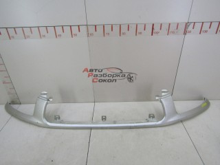 Планка под фары Toyota RAV 4 2000-2005 254806 5393142020