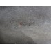 МКПП (механическая коробка переключения передач) Renault Scenic 1999-2002 254959 7701708922