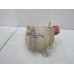 Бачок расширительный Renault Kangoo 1997-2003 255143_86529 7700836316