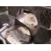 Головка блока Kia Cerato 2004-2008 255481_87580 2210026100