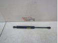  Амортизатор капота BMW X5 E53 2000-2007 255555 51238402551