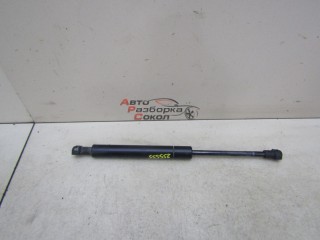 Амортизатор капота BMW X5 E53 2000-2007 255555 51238402551