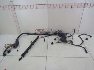 Проводка (коса) BMW X5 E53 2000-2007 255600 12517531986