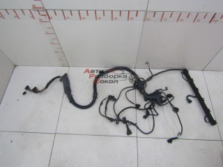 Проводка (коса) BMW X5 E53 2000-2007 255775 12517531986